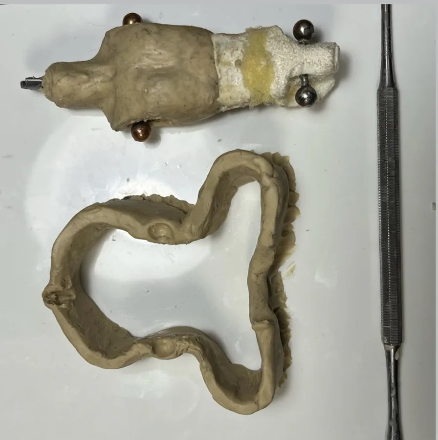 Moulds used to make puppet parts